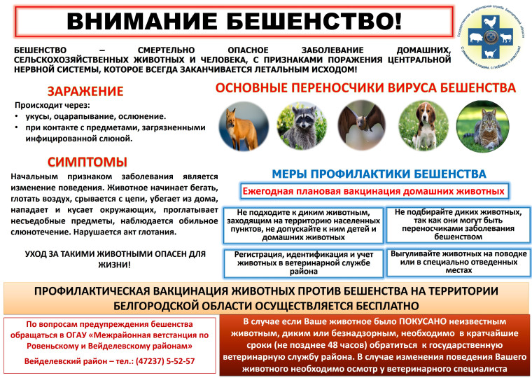 ВНИМАНИЕ БЕШЕНСТВО!!!. ВНИМАНИЕ БЕШЕНСТВО!!!.